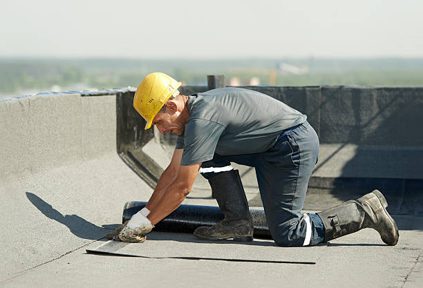 Best Insulation Removal Services  in Crown Heights, NY